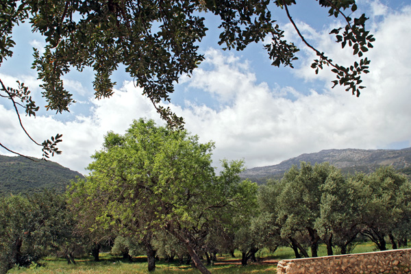 Panagia Kera auf Kreta