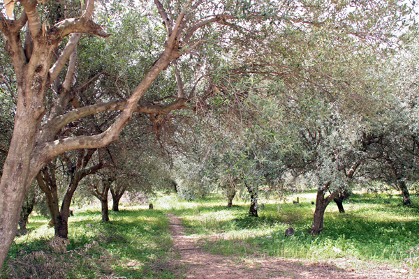 Panagia Kera auf Kreta Panagia Kera auf Kreta