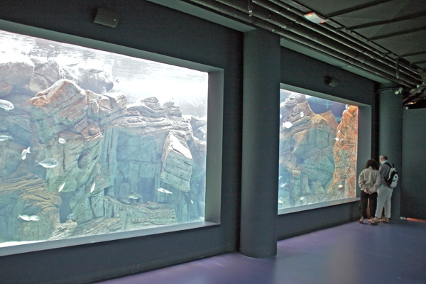 Becken im Cretaquarium auf Kreta