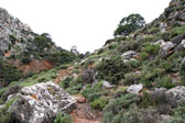 Wandern