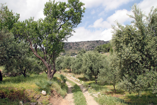 Panagia Kera - Kritsa